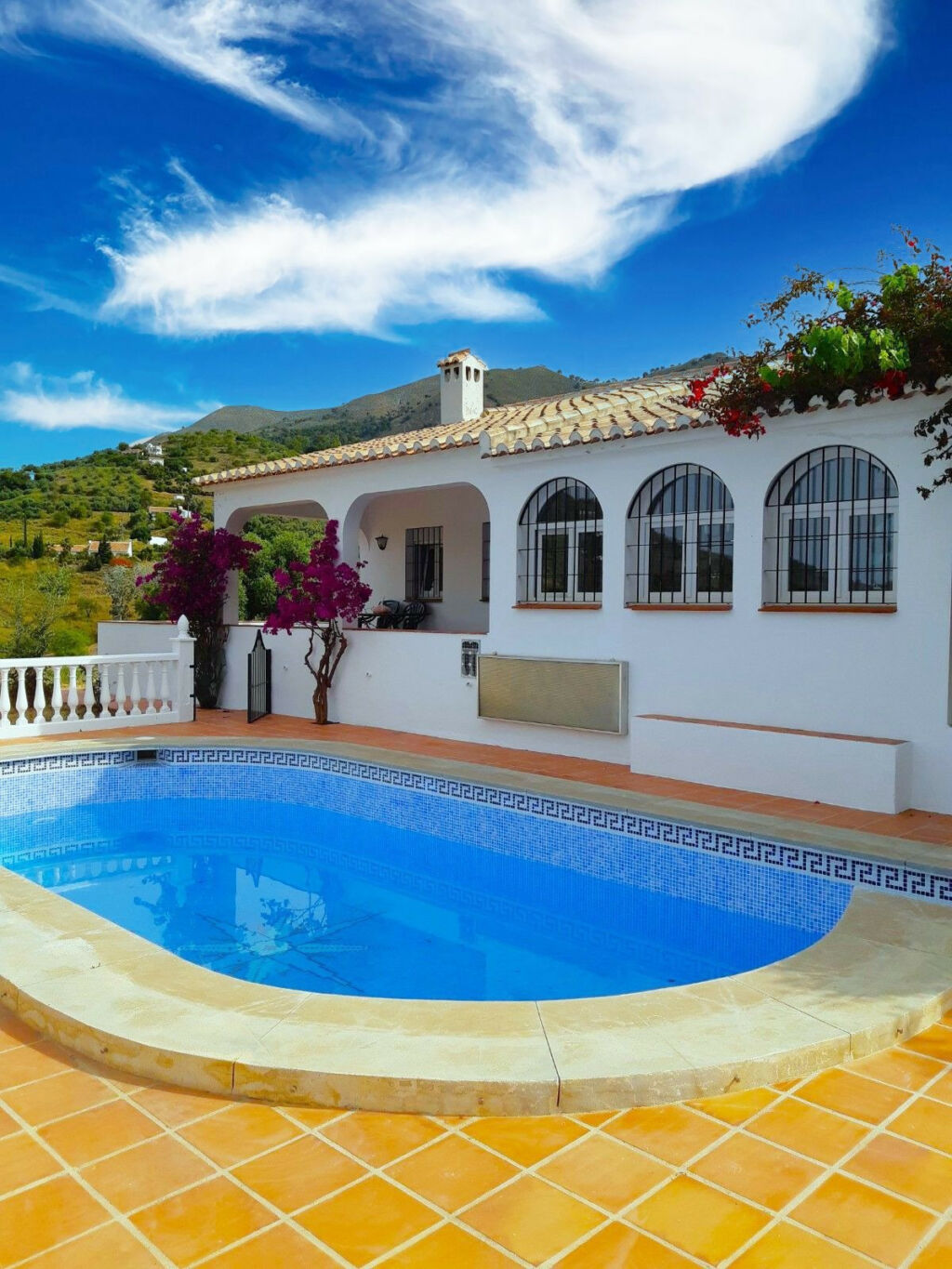 Detached Villa Cómpeta Málaga - image 34
