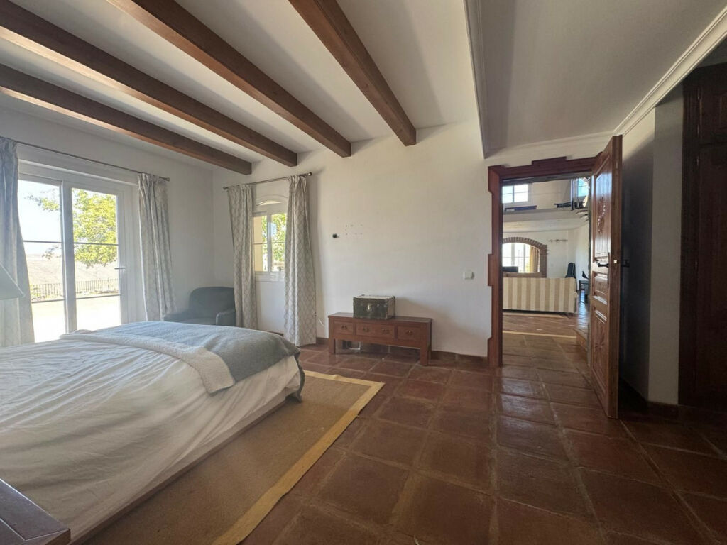 Detached Villa Istán Málaga - image 34