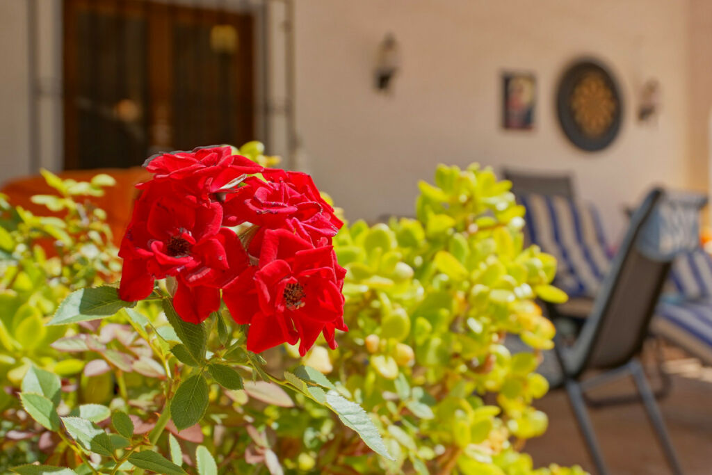 Detached Villa Javea Alicante - image 35
