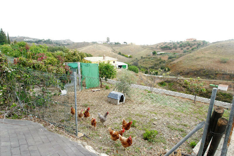 Finca - Cortijo La Cala de Mijas Málaga - image 33