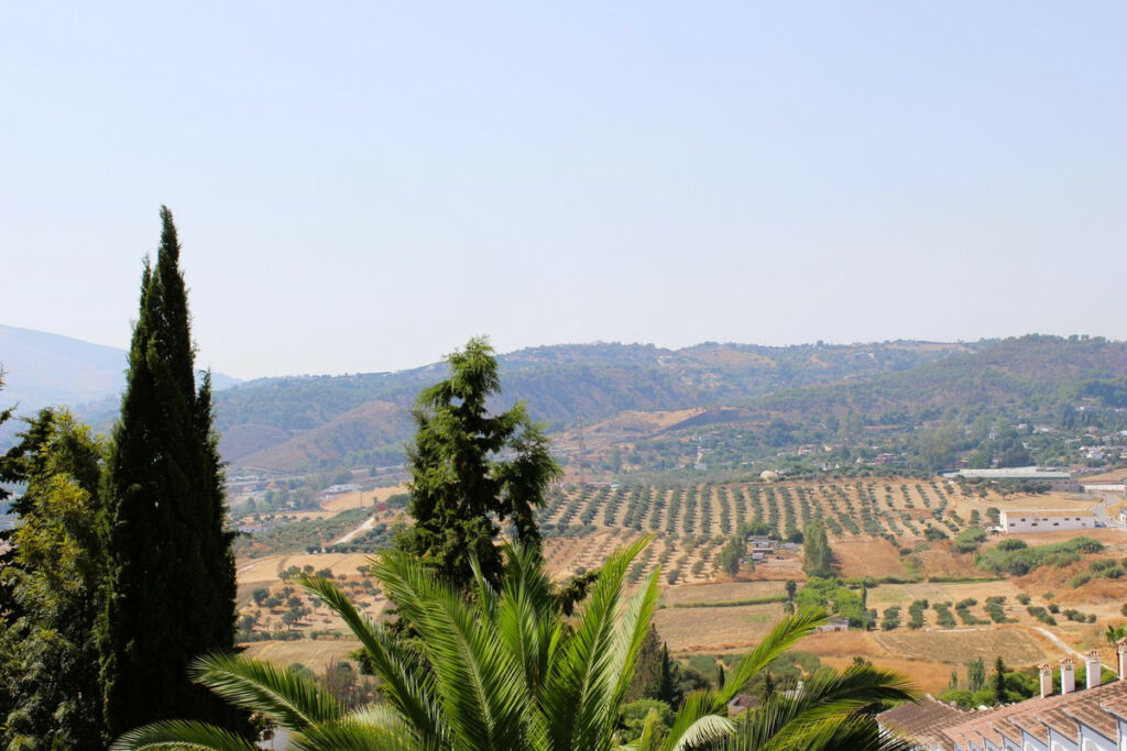 Detached Villa Coín Málaga - image 35