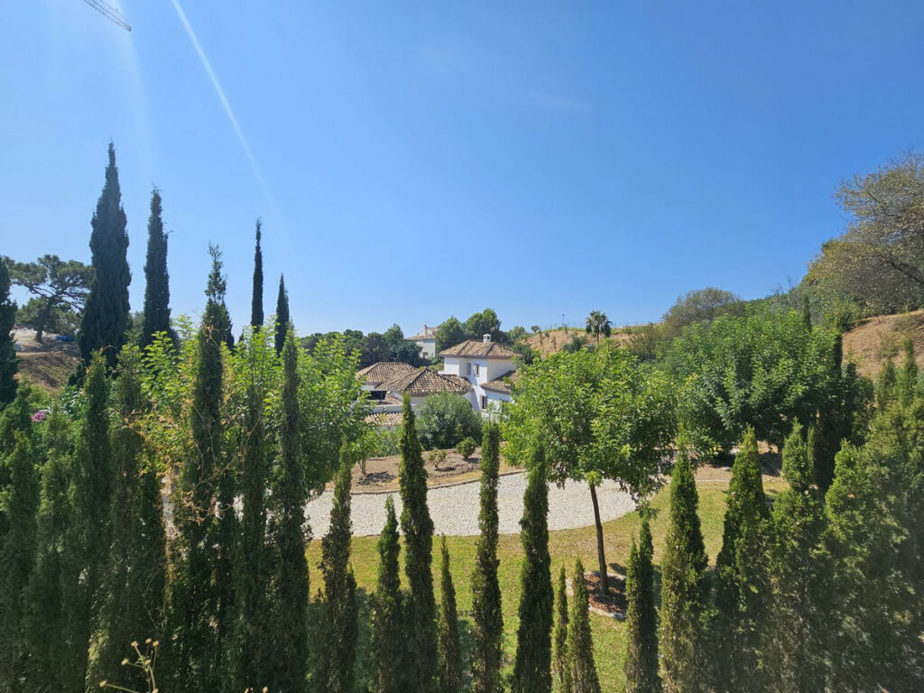 Detached Villa Benahavís Málaga - image 35