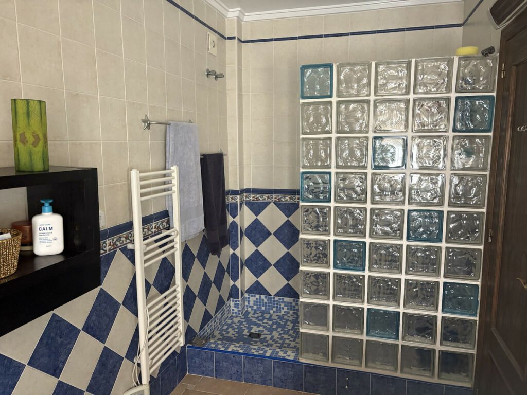 Detached Villa Algorfa Alicante - image 35