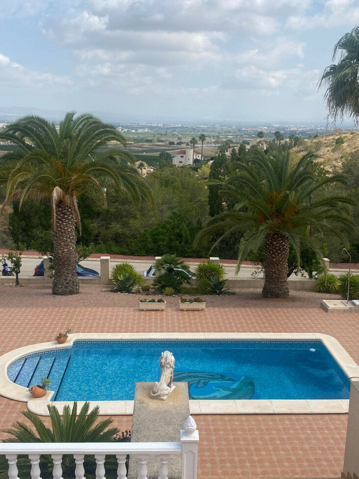 Detached Villa Algorfa Alicante - image 36