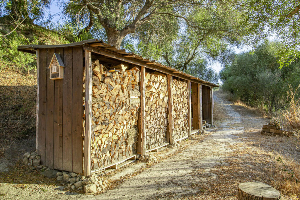 Finca - Cortijo Jimena de la Frontera Cádiz - image 42