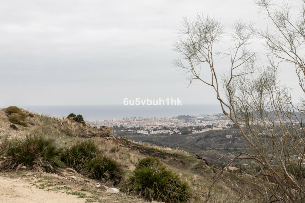 Detached Villa Mijas Málaga - image 36