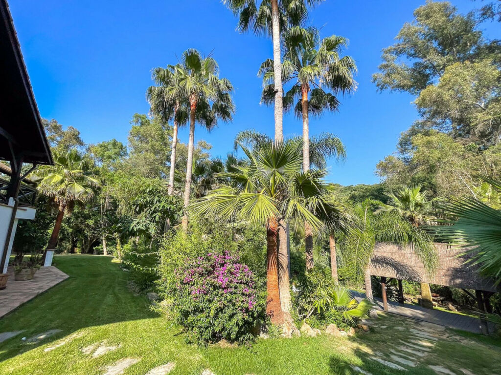 Detached Villa Sotogrande Cádiz - image 36