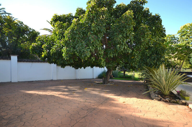 Detached Villa Nueva Andalucía Málaga - image 37