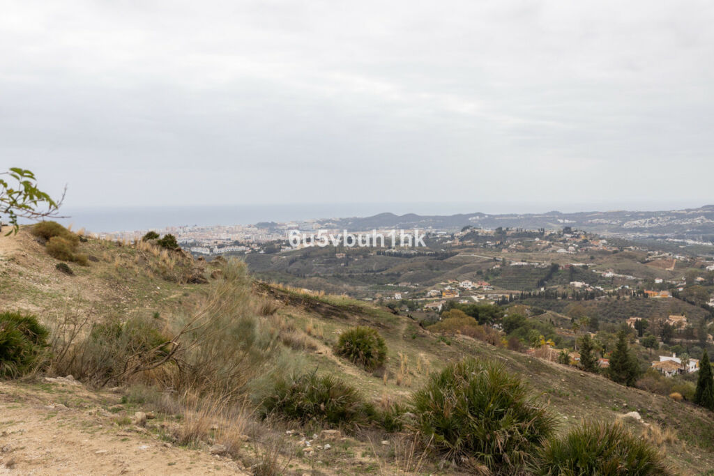 Detached Villa Mijas Málaga - image 37