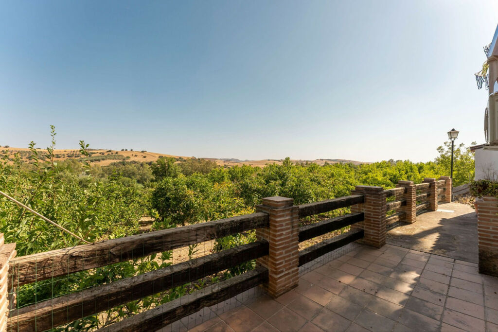 Detached Villa Coín Málaga - image 38