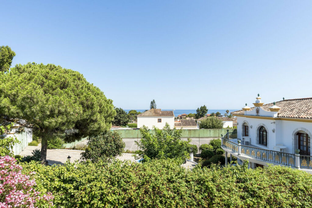 Detached Villa Estepona Málaga - image 38