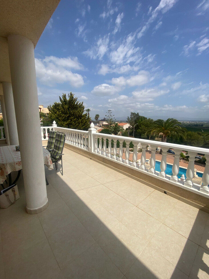 Detached Villa Algorfa Alicante - image 39