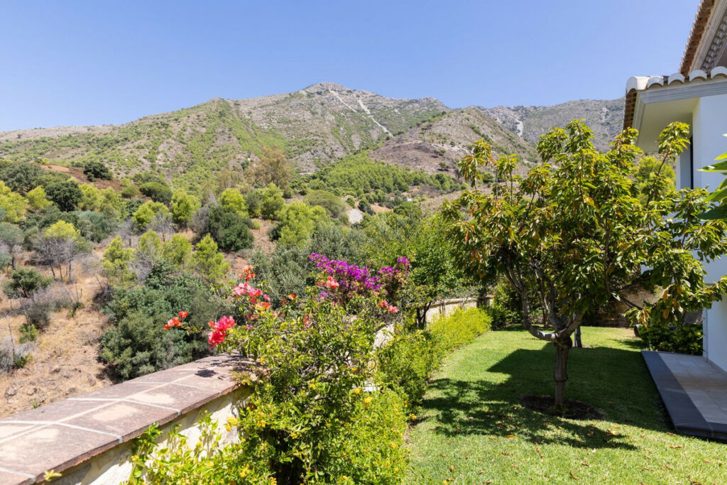 Detached Villa Mijas Málaga - image 39