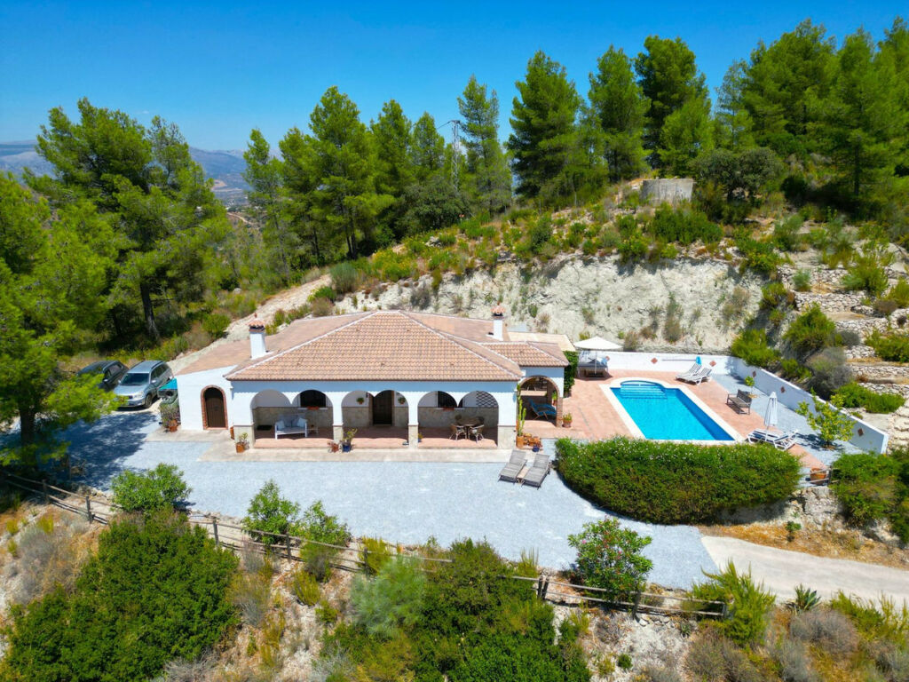 Detached Villa Comares Málaga - image 40