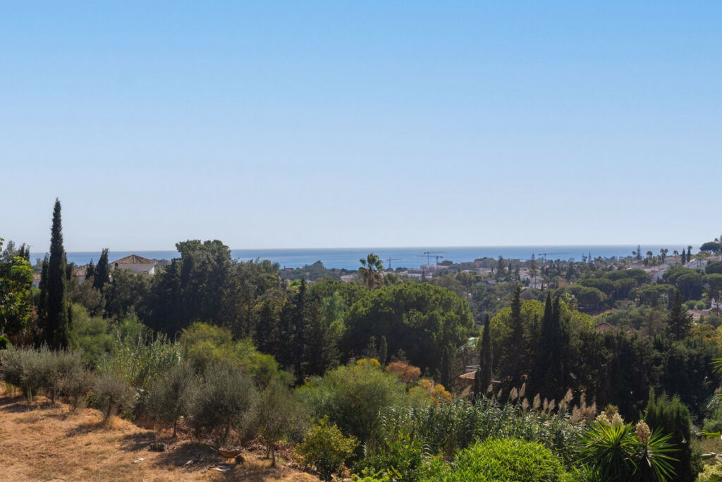 Detached Villa Elviria Málaga - image 25