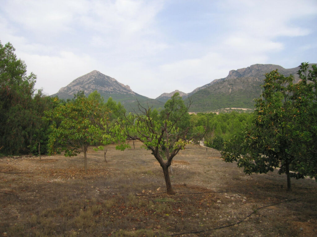 Finca - Cortijo La Nucia Alicante - image 4