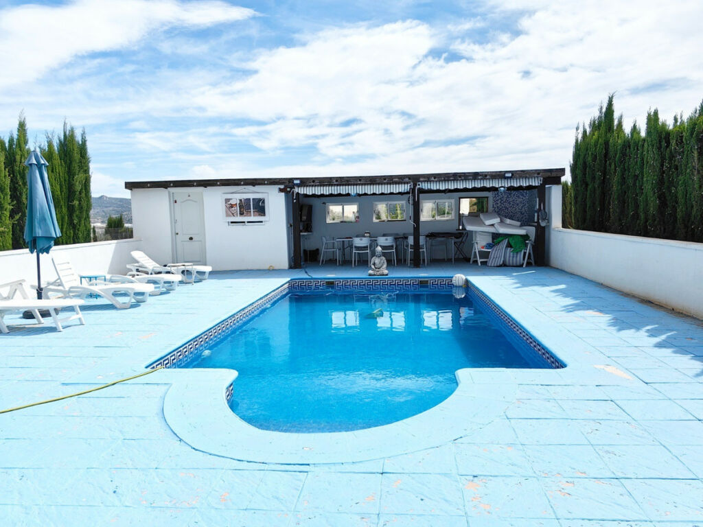 Detached Villa Pinoso Alicante - image 4
