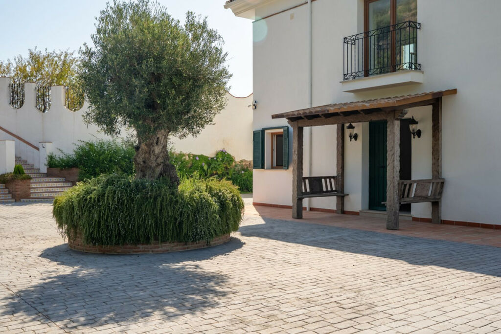 Detached Villa Mijas Málaga - image 4