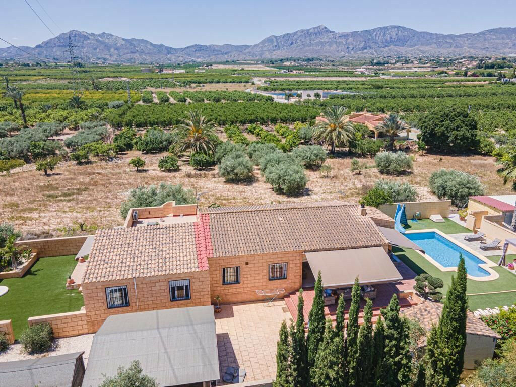 Finca - Cortijo Albatera Alicante - image 4