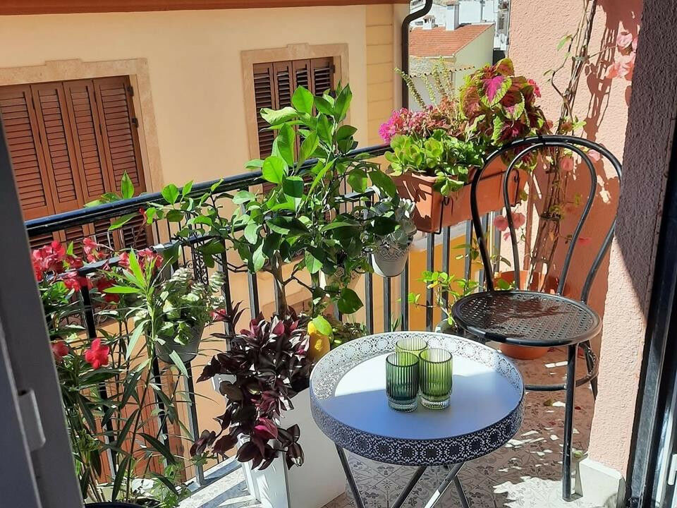 Middle Floor Apartment Denia Alicante - image 4