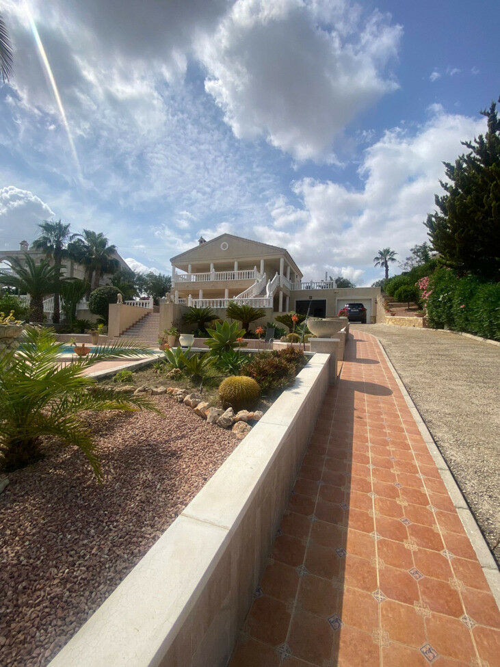 Detached Villa Algorfa Alicante - image 4