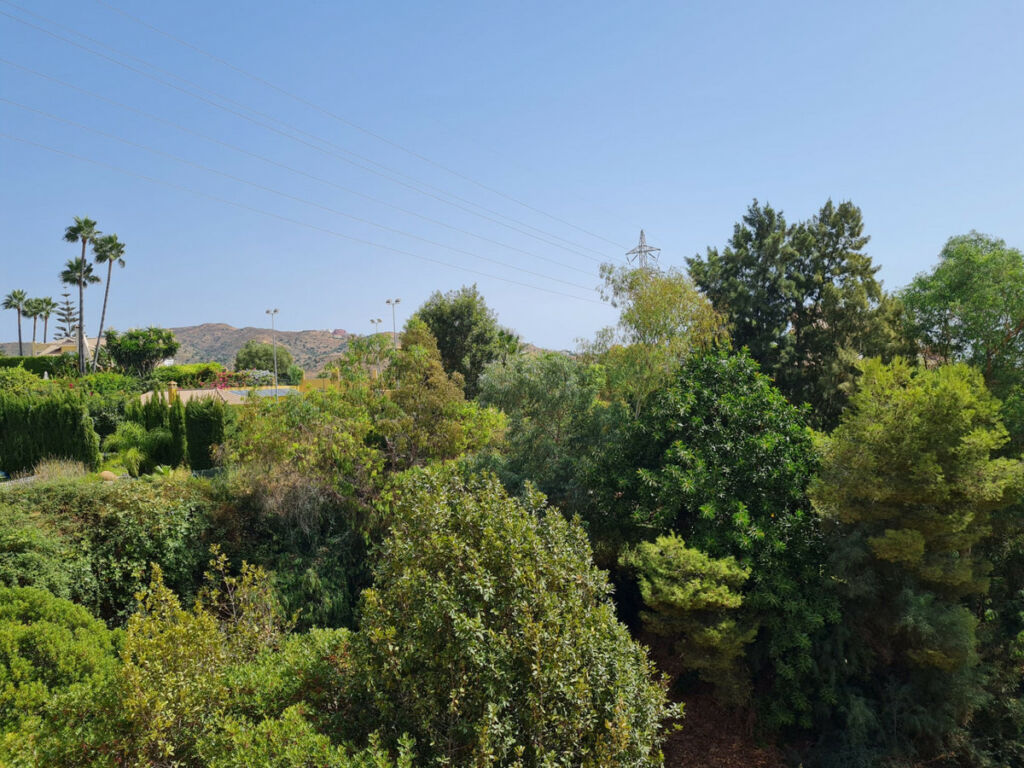Land Hacienda Las Chapas Málaga - image 4