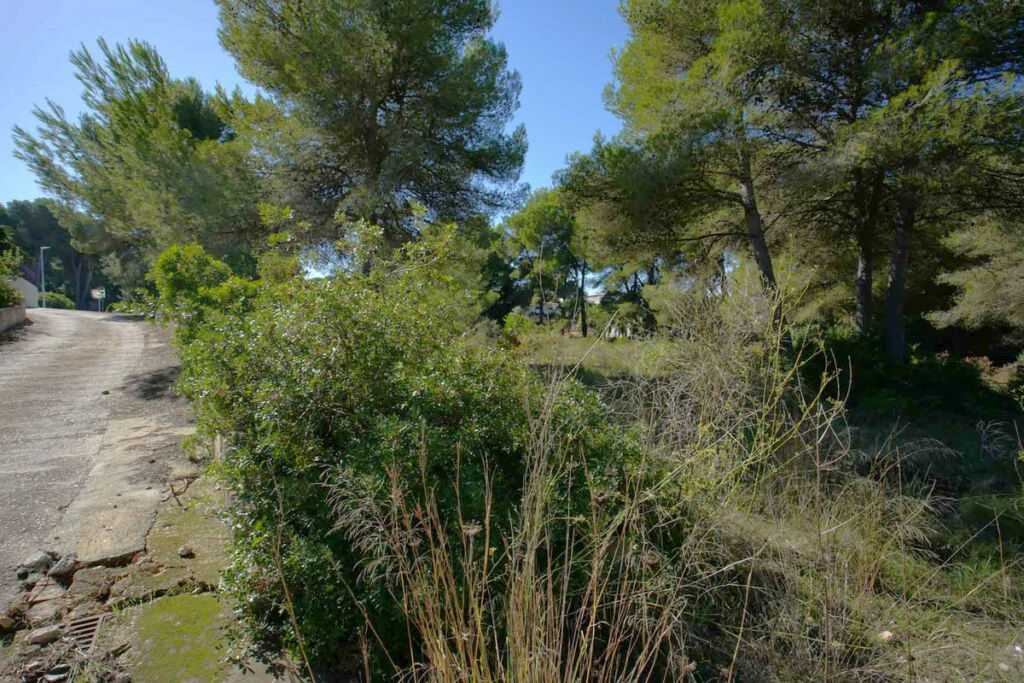 Residential Plot Javea Alicante - image 4