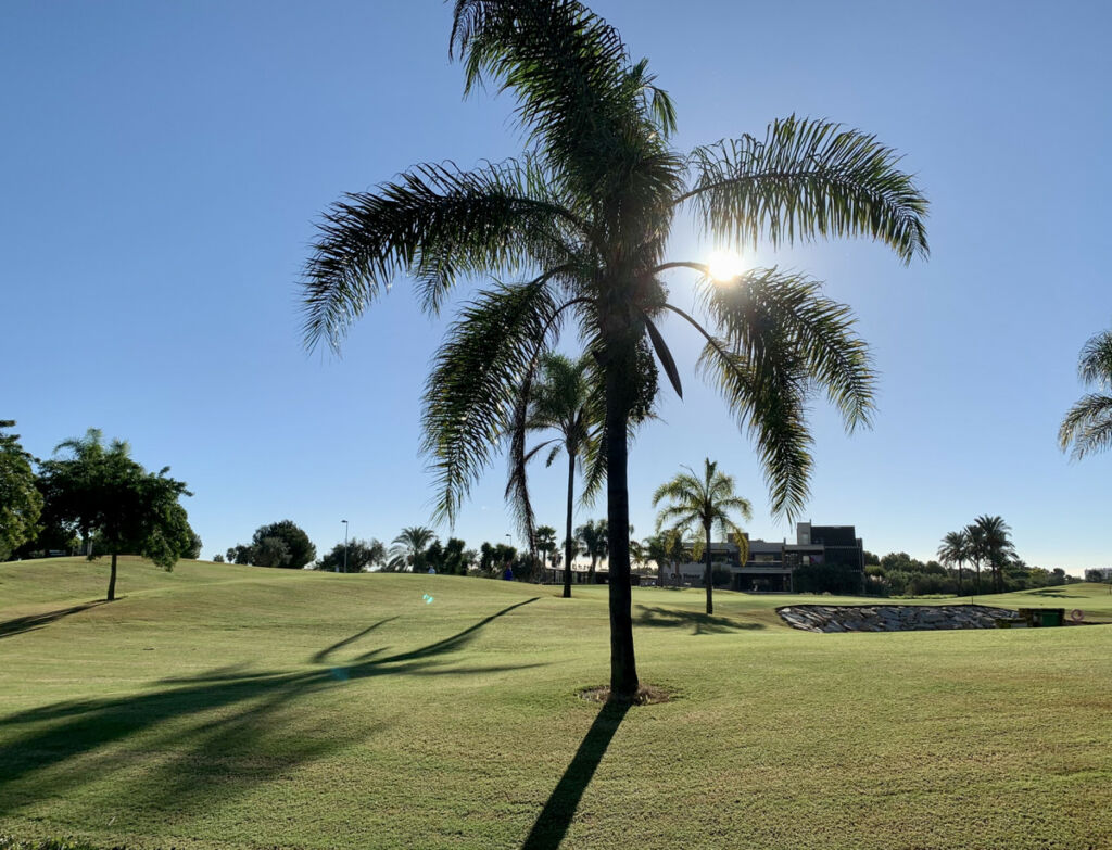 Detached Villa Roda Golf Murcia - image 40