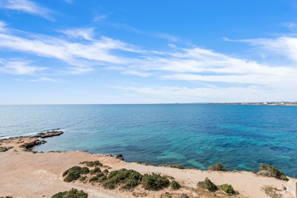 Middle Floor Apartment Punta Prima Alicante - image 40