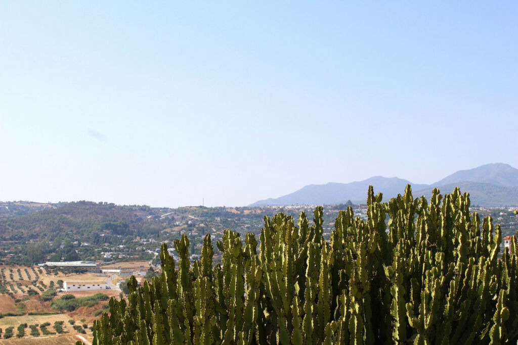 Detached Villa Coín Málaga - image 40