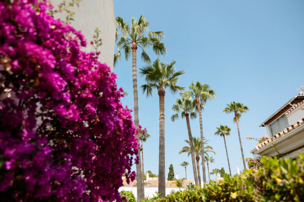 Middle Floor Apartment Bahía de Marbella Málaga - image 40
