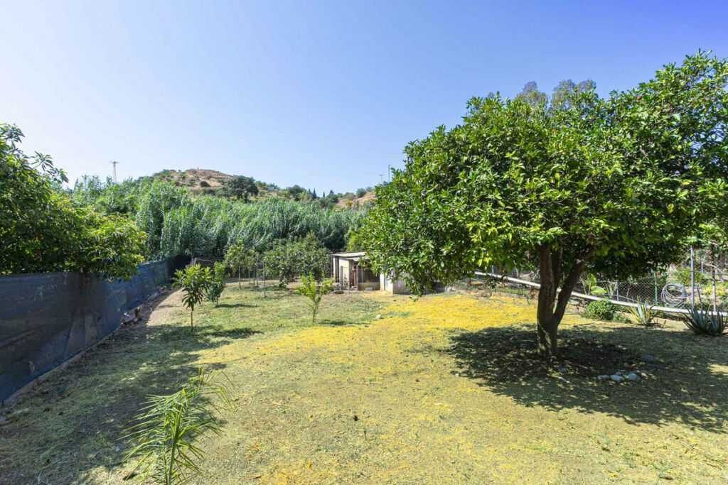 Detached Villa Mijas Málaga - image 41