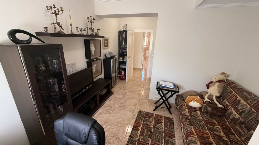 Detached Villa Torrevieja Alicante - image 41