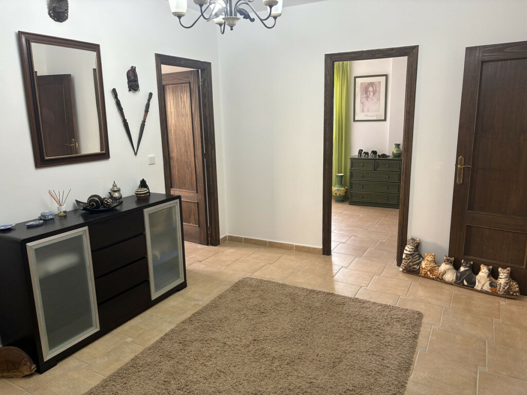 Detached Villa Algorfa Alicante - image 41