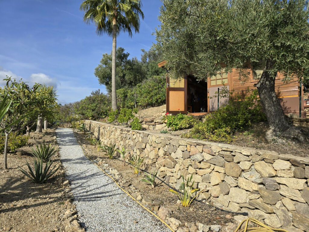 Detached Villa Torrox Málaga - image 42
