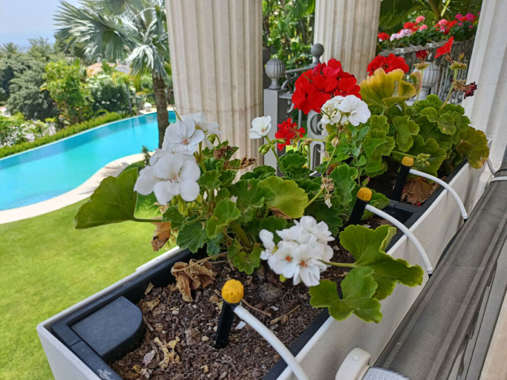 Detached Villa Marbella Málaga - image 4