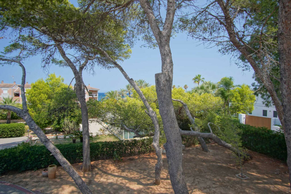 Detached Villa Denia Alicante - image 43