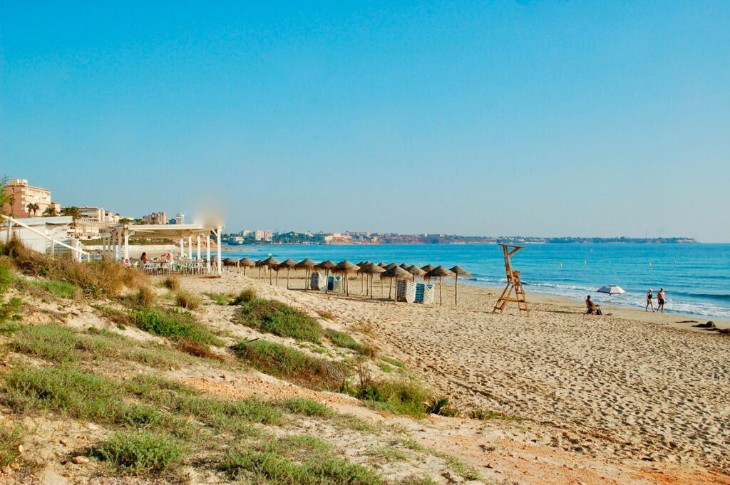 Bungalow Mil Palmeras Alicante - image 43