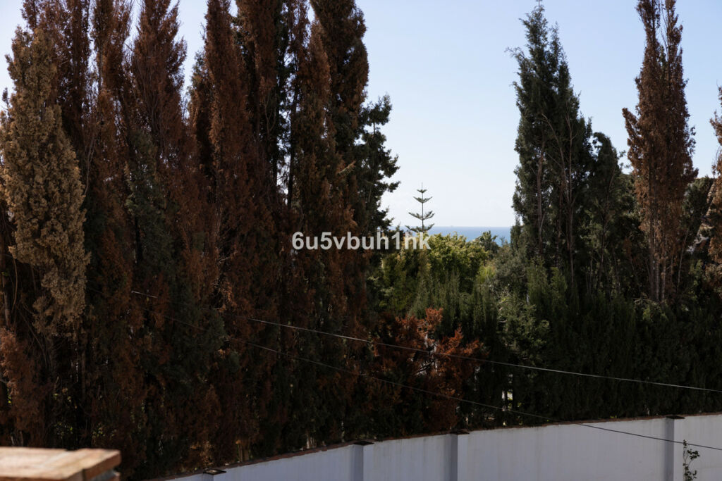 Detached Villa San Pedro de Alcántara Málaga - image 44