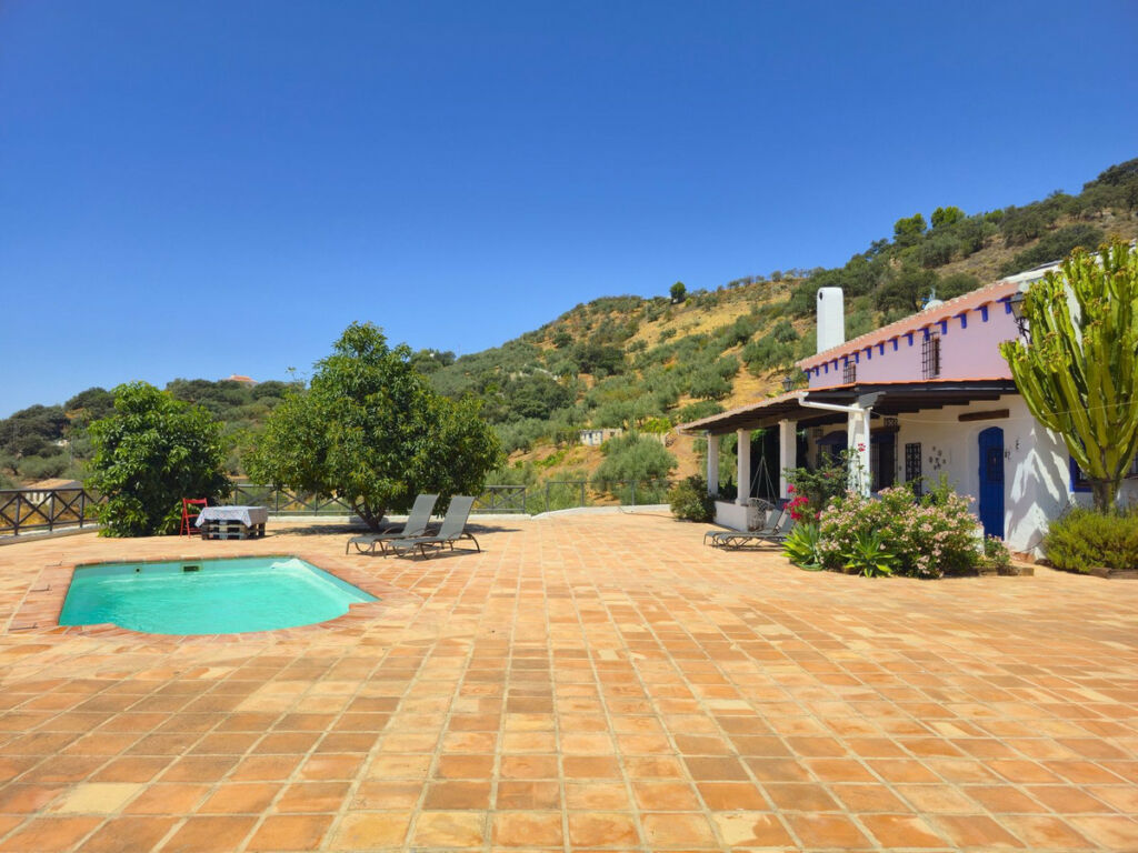 Detached Villa Riogordo Málaga - image 46