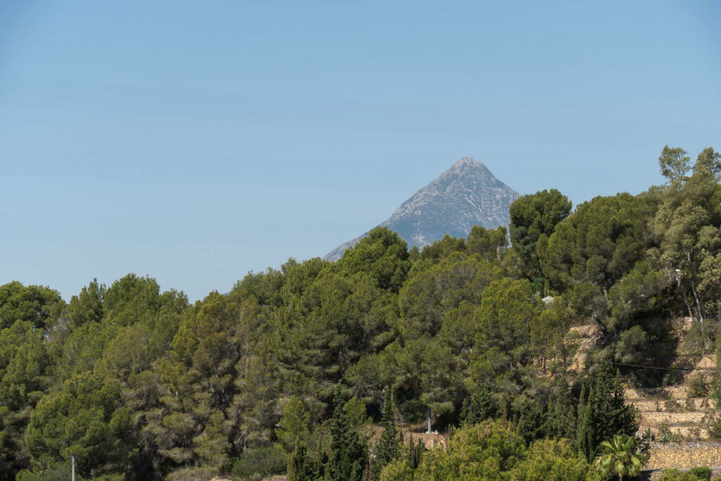 Detached Villa Altea Alicante - image 47