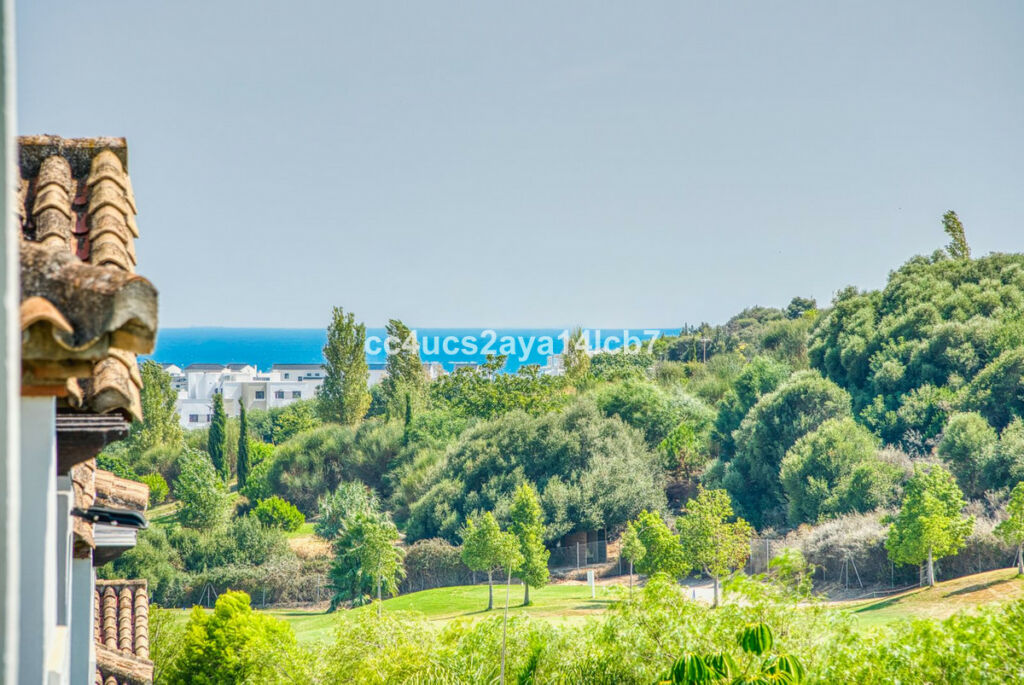 Detached Villa Estepona Málaga - image 47