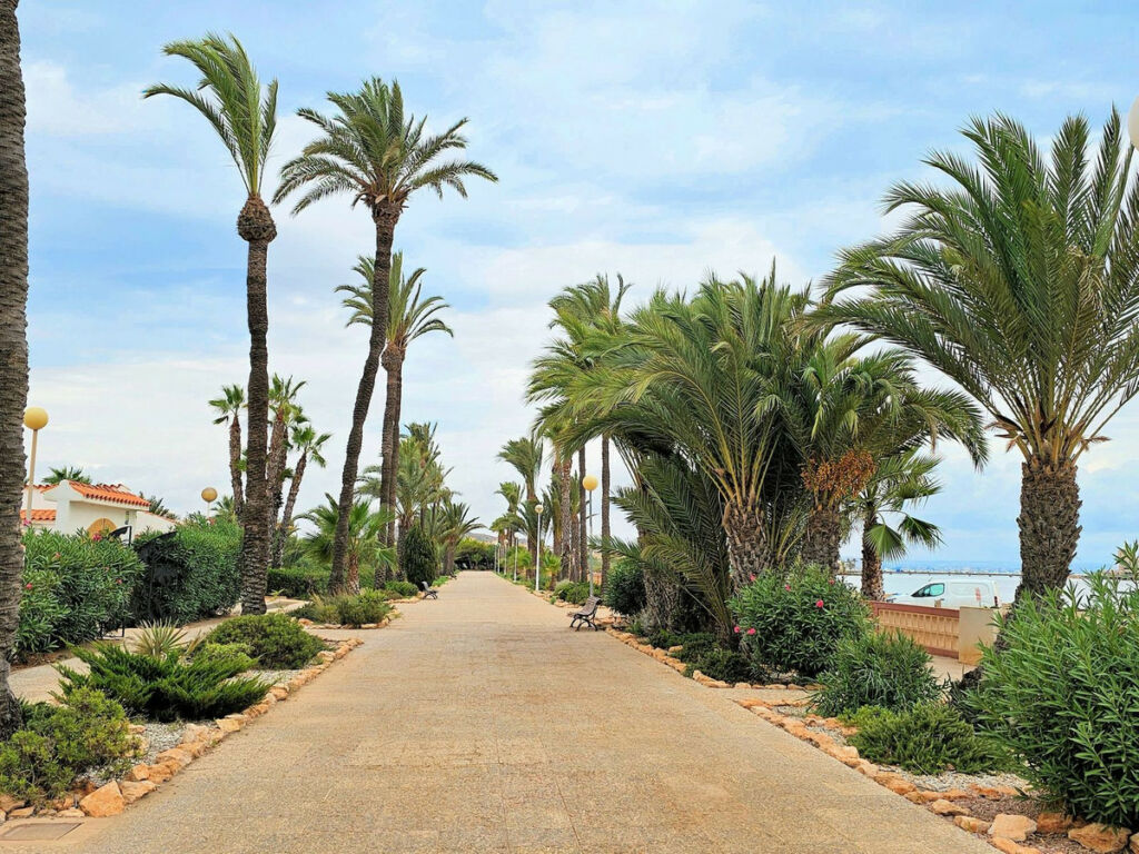 Detached Villa Los Alcazares Murcia - image 48