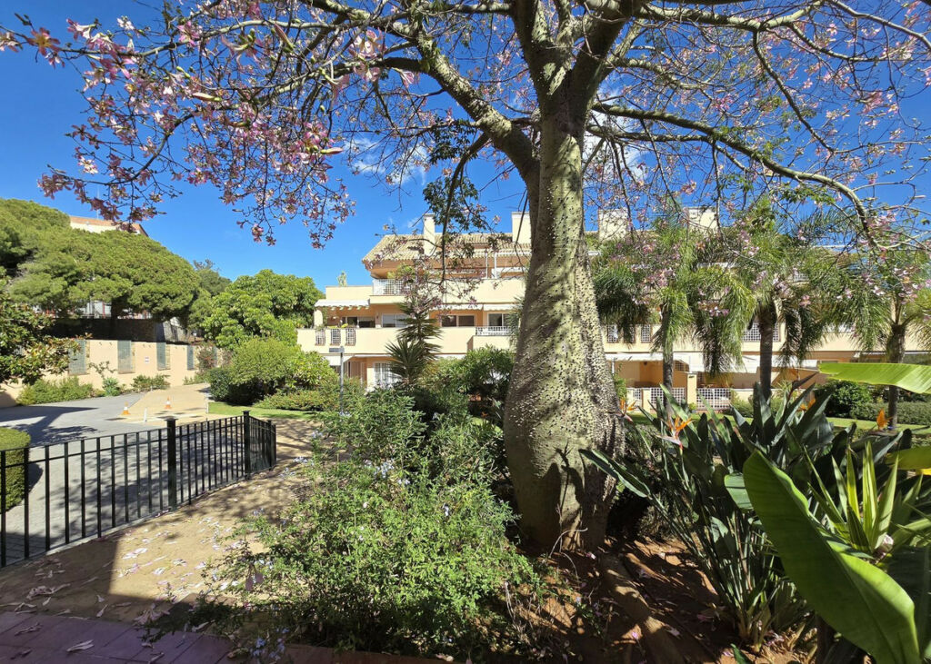 Penthouse Elviria Málaga - image 5