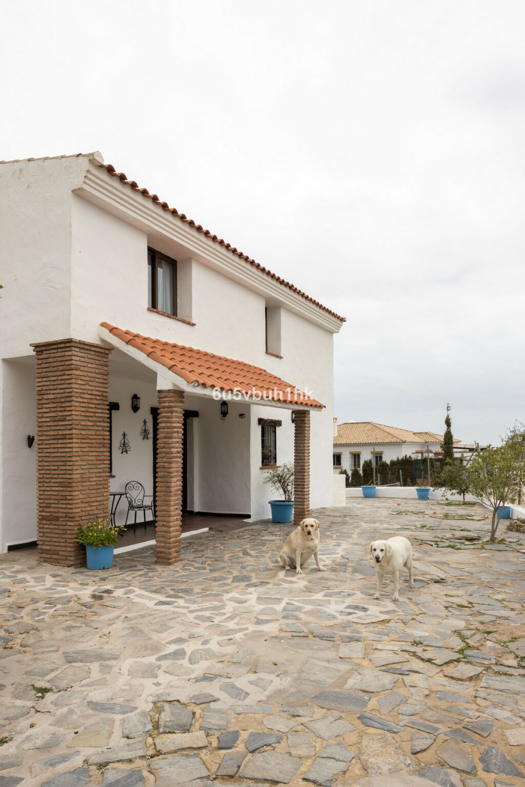 Detached Villa Mijas Málaga - image 5
