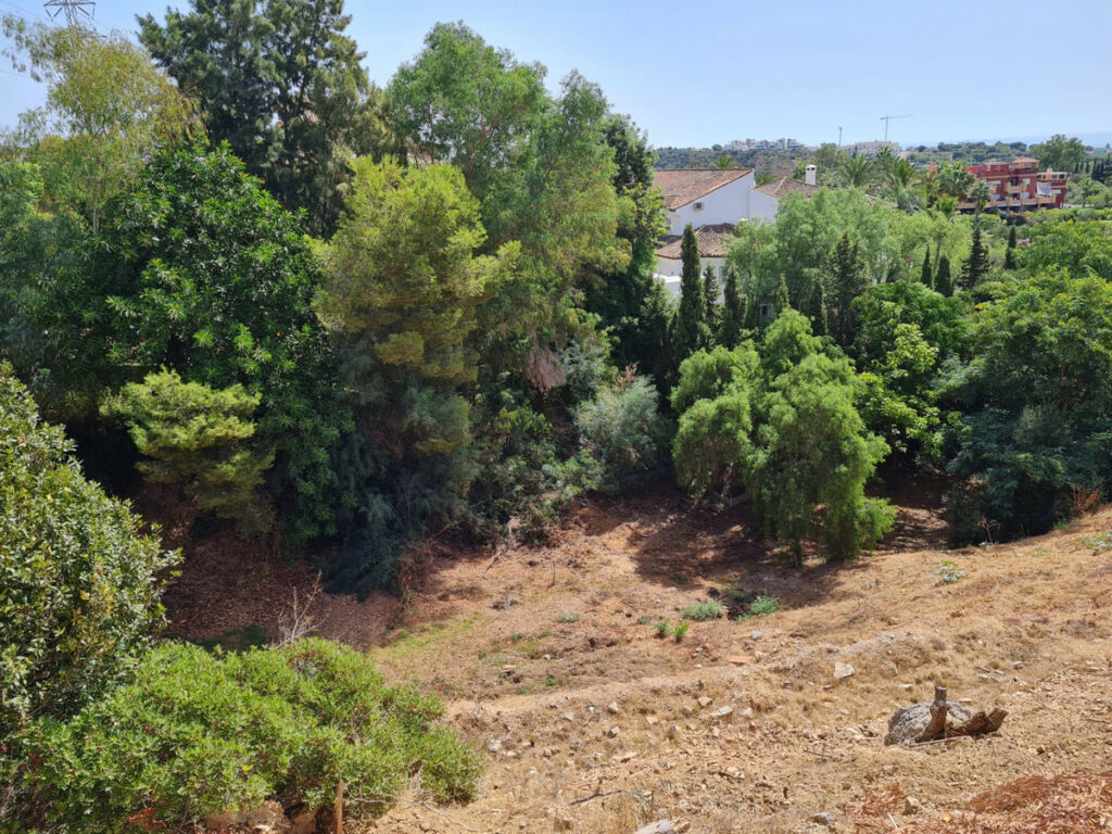 Land Hacienda Las Chapas Málaga - image 5