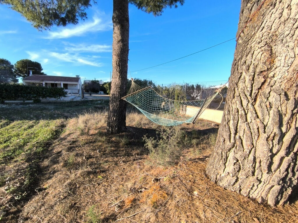 Detached Villa Yecla Murcia - image 5
