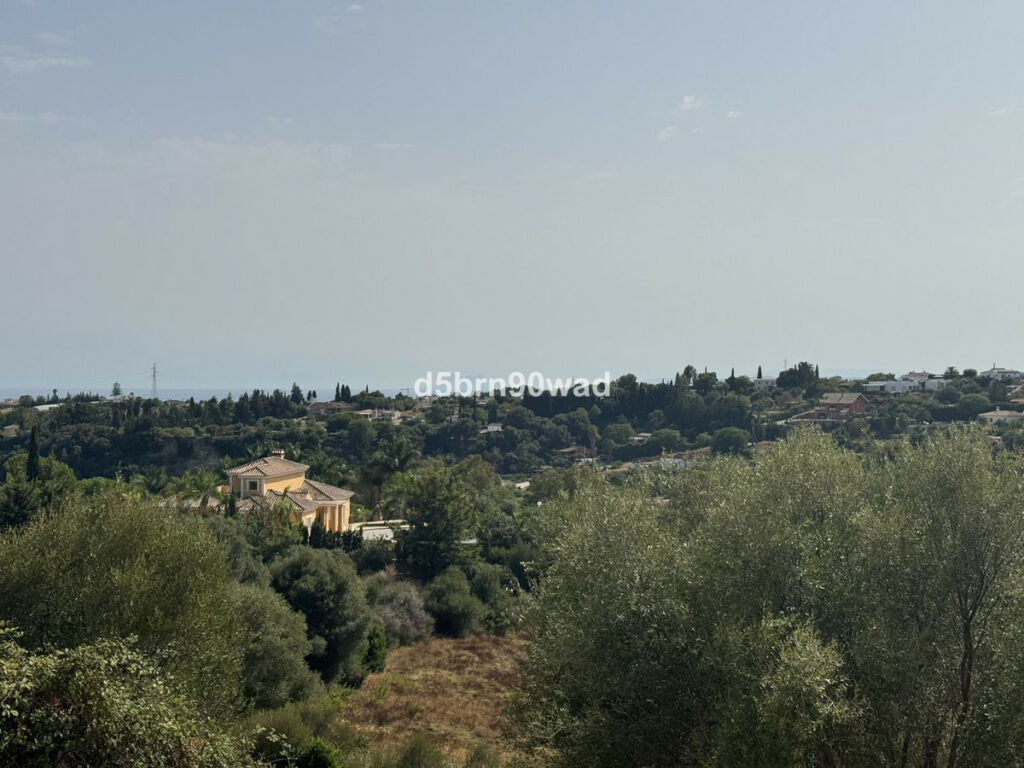 Detached Villa Estepona Málaga - image 5