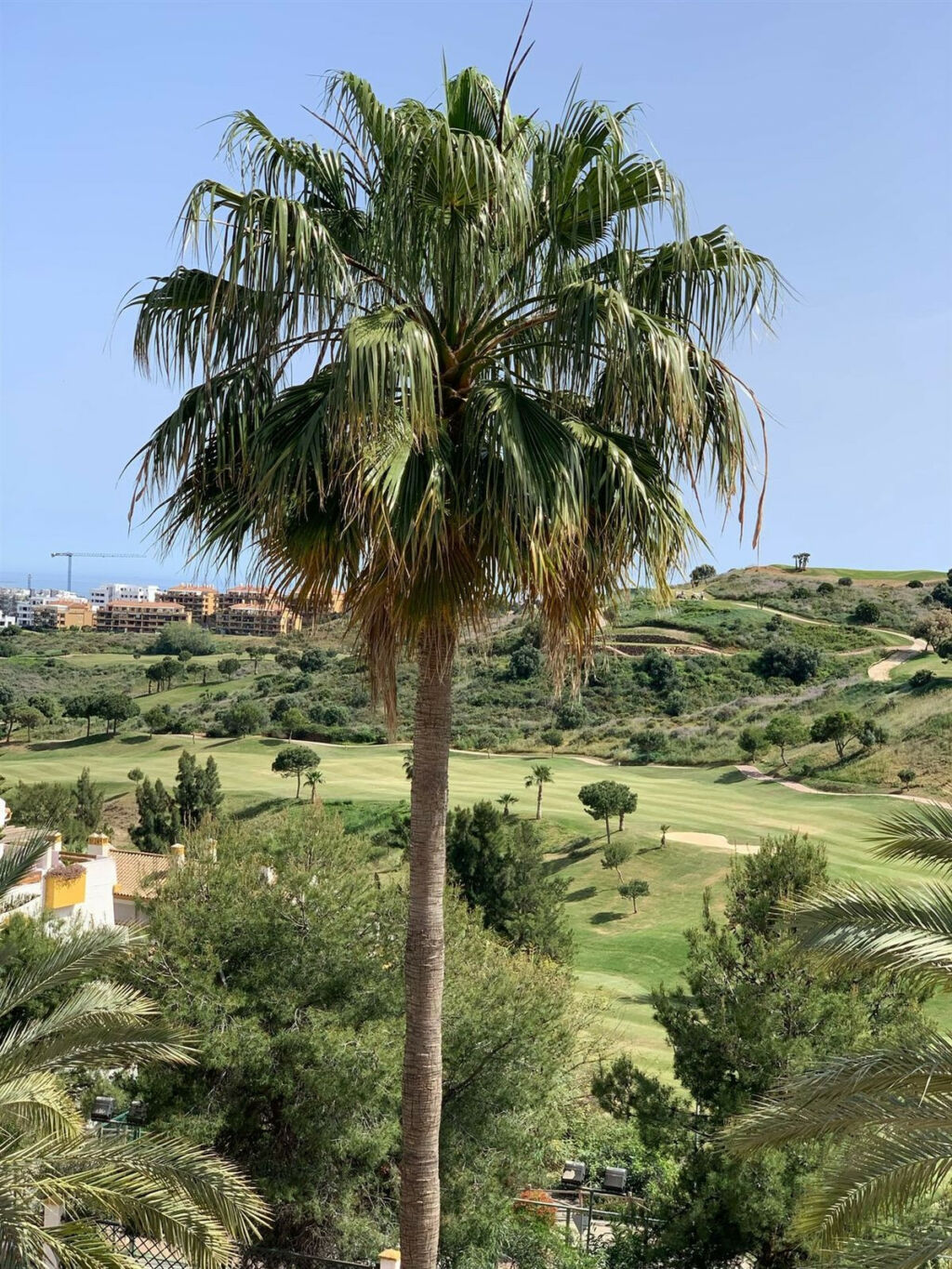 Penthouse Calanova Golf Málaga - image 5