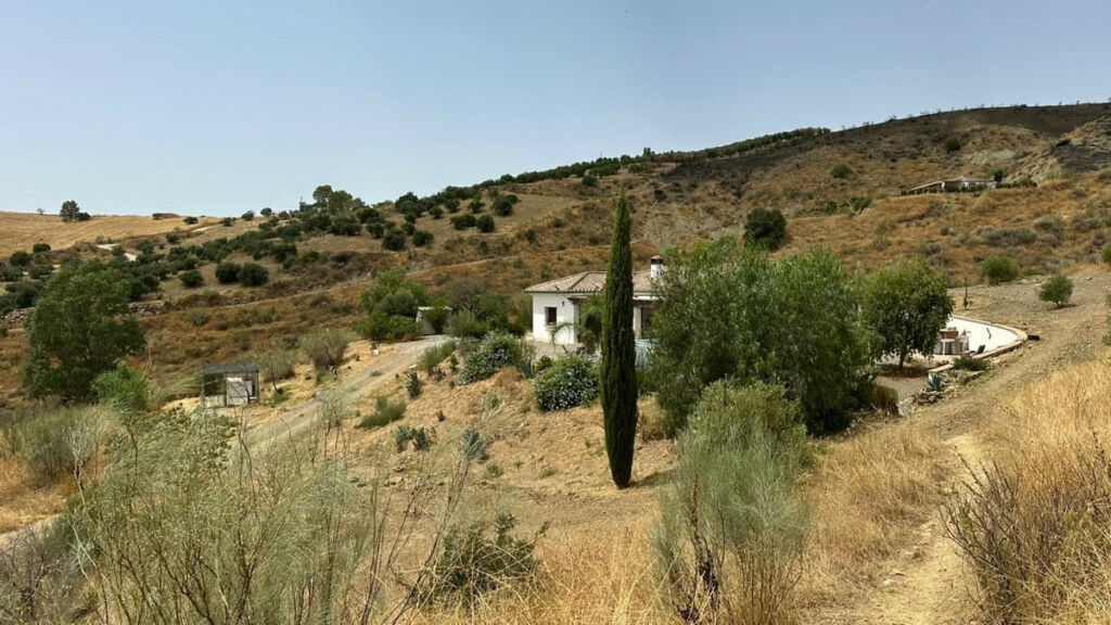 Detached Villa Alora Málaga - image 5